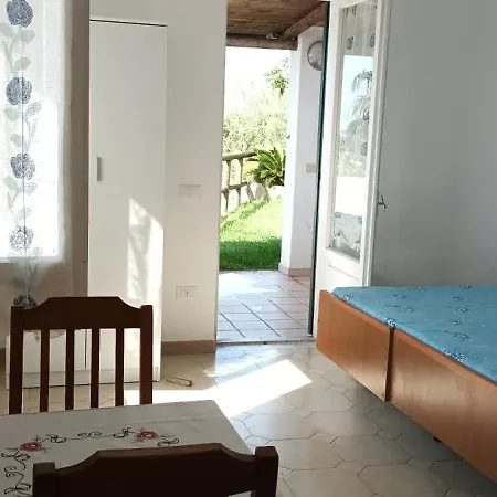 Apartment L'ulivo Ischia