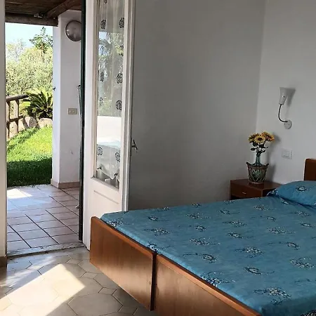 Apartment L'ulivo *