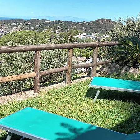 L'ulivo *