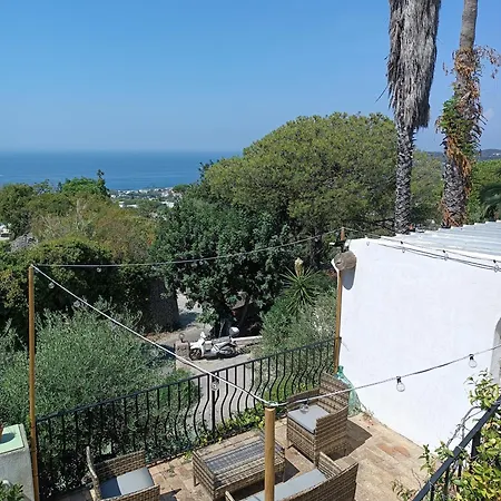 L'ulivo Ischia
